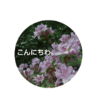 花や景色（個別スタンプ：2）
