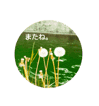 花や景色（個別スタンプ：3）