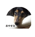 チャーリーさんの日常（個別スタンプ：6）
