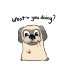 Piggy Puggy (EN)（個別スタンプ：2）