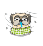 Piggy Puggy (EN)（個別スタンプ：14）