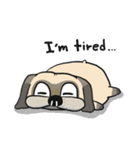 Piggy Puggy (EN)（個別スタンプ：19）