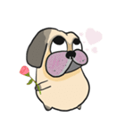 Piggy Puggy (EN)（個別スタンプ：20）