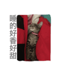 Qiaohu（個別スタンプ：1）