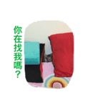 Qiaohu（個別スタンプ：7）