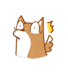 Not cute Shiba dogs（個別スタンプ：3）