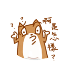 Not cute Shiba dogs（個別スタンプ：10）