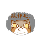 Not cute Shiba dogs（個別スタンプ：11）