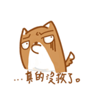 Not cute Shiba dogs（個別スタンプ：16）