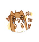 Not cute Shiba dogs（個別スタンプ：19）