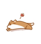 Not cute Shiba dogs（個別スタンプ：25）