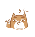 Not cute Shiba dogs（個別スタンプ：30）