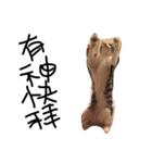 Weary cat adults（個別スタンプ：6）