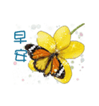 B＆Y 蝶と花からの挨拶-日常会話（個別スタンプ：1）