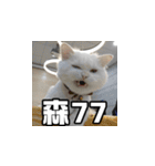 Meow's talk（個別スタンプ：30）
