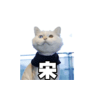 Meow's talk（個別スタンプ：38）