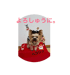 トッポのお正月（個別スタンプ：2）