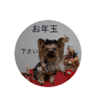 トッポのお正月（個別スタンプ：5）