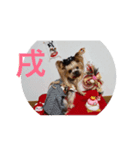 トッポのお正月（個別スタンプ：6）