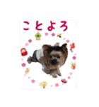トッポのお正月（個別スタンプ：8）