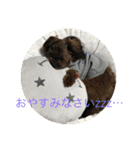 chibi-chibi.you-chacha（個別スタンプ：6）