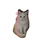 もふもふ1（個別スタンプ：2）
