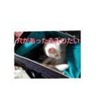 もふもふ1（個別スタンプ：8）