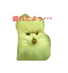ぽめ部 2（個別スタンプ：9）
