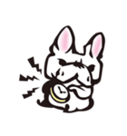 French bulldog BuBu's Life（個別スタンプ：1）