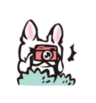 French bulldog BuBu's Life（個別スタンプ：7）