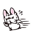 French bulldog BuBu's Life（個別スタンプ：8）