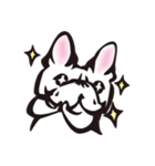 French bulldog BuBu's Life（個別スタンプ：16）