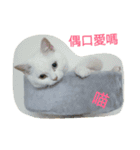 Min's（個別スタンプ：1）