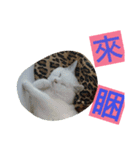 Min's（個別スタンプ：9）