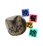 Min's（個別スタンプ：11）