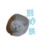 Min's（個別スタンプ：13）