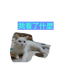 Min's（個別スタンプ：14）