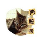 Min's（個別スタンプ：16）