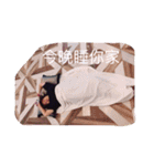 You're Worth It（個別スタンプ：17）