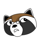The emoticoner-Brother Raccoon（個別スタンプ：7）