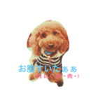 CHOCO＆PHOO（個別スタンプ：4）