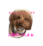 CHOCO＆PHOO（個別スタンプ：5）