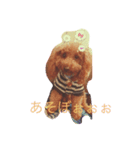 CHOCO＆PHOO（個別スタンプ：6）