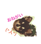 CHOCO＆PHOO（個別スタンプ：7）