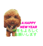 CHOCO＆PHOO（個別スタンプ：11）