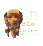 CHOCO＆PHOO（個別スタンプ：13）