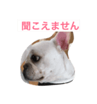 フレブル ルーシー（個別スタンプ：2）