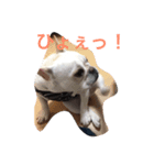 フレブル ルーシー（個別スタンプ：4）