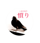 ダイコンの試食（個別スタンプ：1）