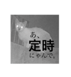 ダイコンの試食（個別スタンプ：2）